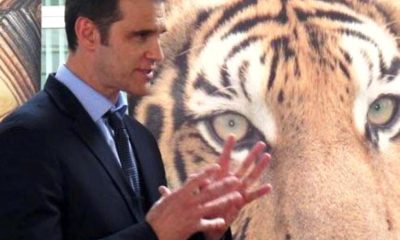 wildlife trade ban