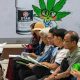 CBD hemp oil,Medical Cannabis, Marijuana, Thailand