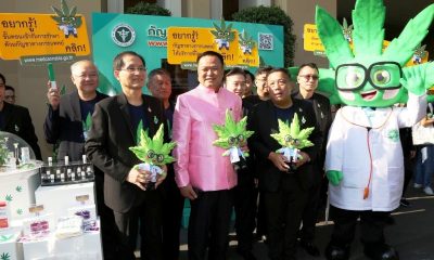 medical cannabis Thailand