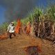Sugarcane Burning in Eastern Thailand Worsens Air Quality