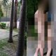 Bangkok Thailand lovers who engaged in sex outdoors