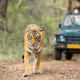 wildlife sanctuaries in india