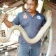 King Cobra snake- CTN News