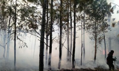 Phu Kradueng National Park