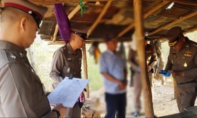 forest arsonist - Chiang Rai Times