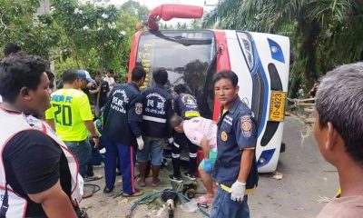 tour bus crash
