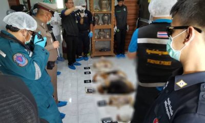 Familt commits suicide