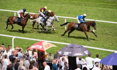 horse racing