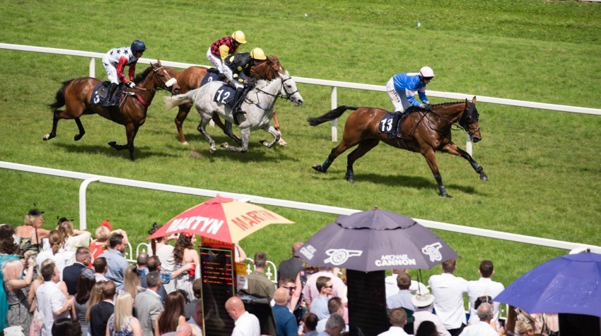 horse racing