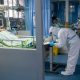 coronavirus thailand health department
