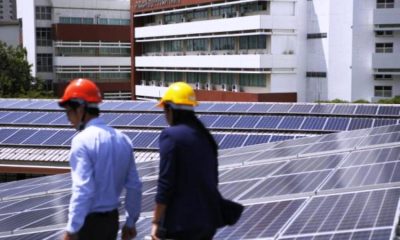 solar panel cost