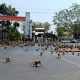 Monkeys, Thailand, Lopburi