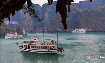Cruise to Halong Bay