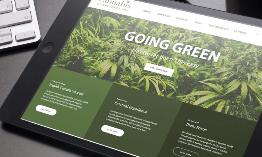 Cannabis website SEO