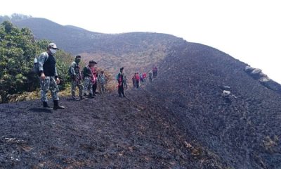 Wildfire threatens wild elephant habitat