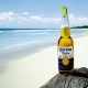 corona beer
