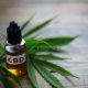 forms of cbd, cbd product,