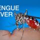 dengue fever outbreak northeastern thailand,