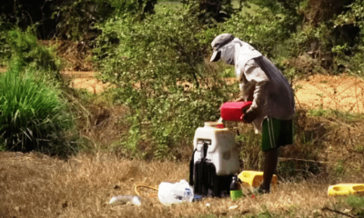 Thai Farmers, Hazardous Chemicals, Thailand