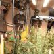 Online Marijuana Syndicate and Grow Opp