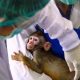 Thailand, Covid-19, Vaccine, Monkeys
