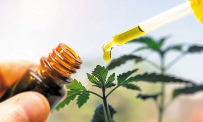 Difference Between CBG Oil and Cannabidiol (CBD) Oil