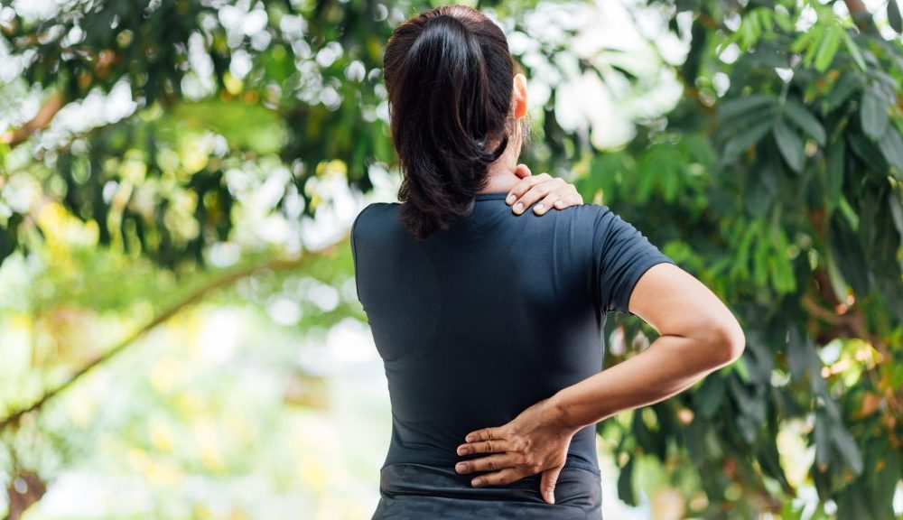 cbd oil, back pain,Medicine,dosage of cbd, CBD, Cannabidiol
