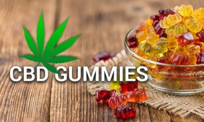 CBD, Gummies, welness