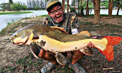 Visiting Thailand Fishing Parks