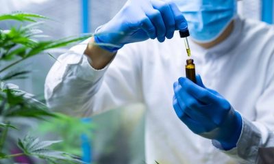 Big Pharma,cannabidiol CBD Research,marijuana