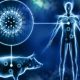 swine flu virus, Threat, Thailand