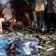 Premchai, jail sentence, poaching, wildlife