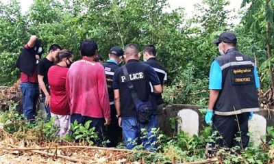 Dead, Babies, Stolen, Cemetary, Thailand