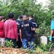 Dead, Babies, Stolen, Cemetary, Thailand