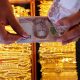 baht, Gold, Thailand trading, US dollar