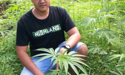 Grow, Marijuana, Thailand