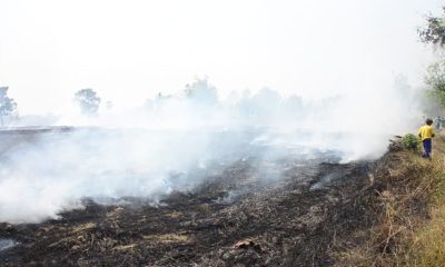 Prime Minister, Thailand, Haze, Chiang Rai