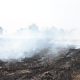 Prime Minister, Thailand, Haze, Chiang Rai