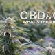 phytocannabinoids CBG and CBD