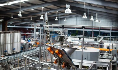 CMMS Software: Reduce Downtime and Streamline your Company Maintenance