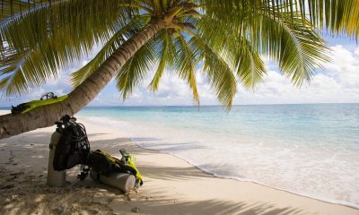 Diving Sites Thailand, Islands You Need to Explore