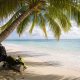 Diving Sites Thailand, Islands You Need to Explore