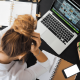 Security Threats, Online, Business