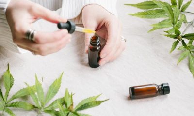 What is Cannabidiol CBD Oil from Cannabis Good For?