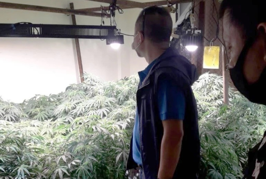 marijuana cultivation northern Thailand, Chiang Mai Province