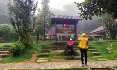 Tourists Enjoy 11-Degree Weather at Doi Inthanon in Chiang Mai