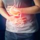 6 Unique Things That Harm Your Gut Bacteria in Your Digestive System