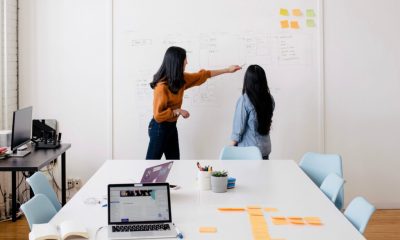 How Organization‘s Achieve Goals With Proper Sales Development