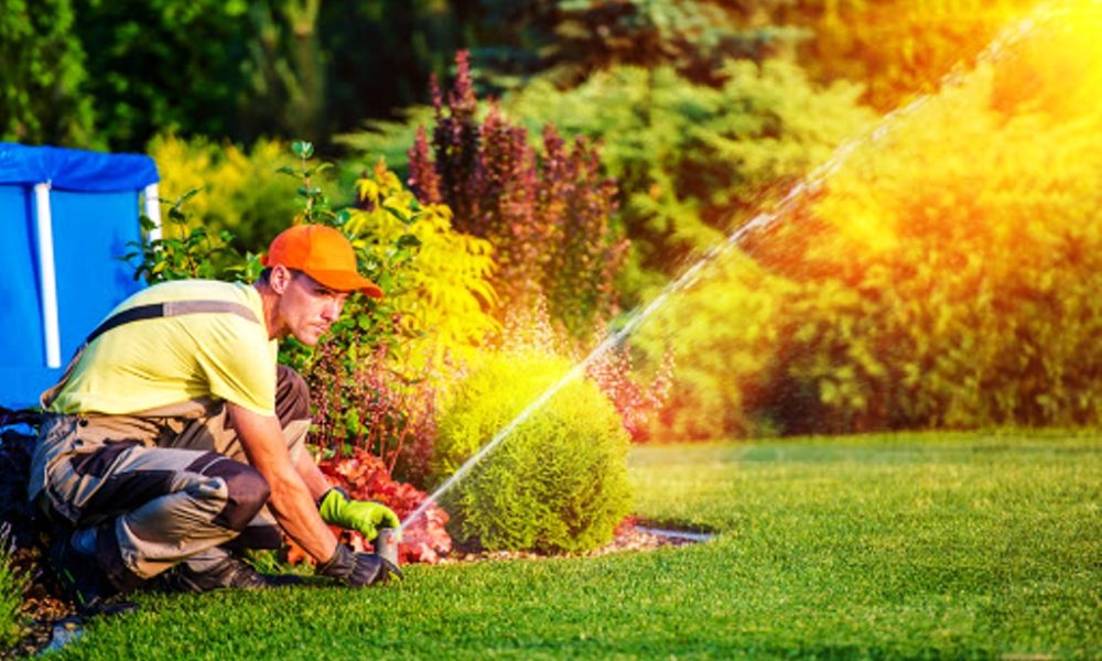 Landscaping