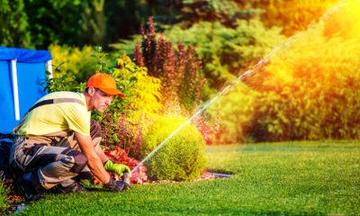 Landscaping